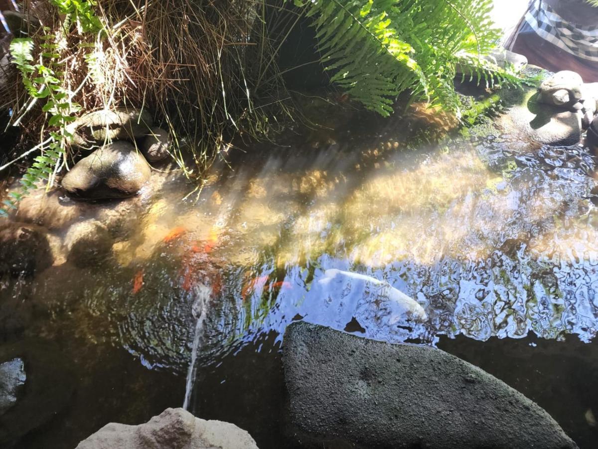 Mai Malu Apartment Pulukan Bagian luar foto